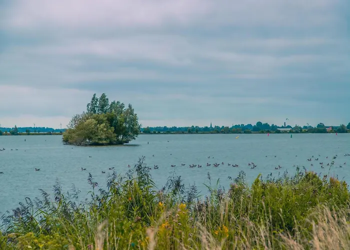 Sustainable Water Villa With Dishwasher, By A Lake